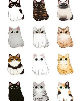 Картинки котиков для срисовки милые котики шт (35 шт)