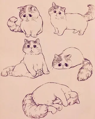 Лёгкий рисунок котика для срисовки - 92 фото
