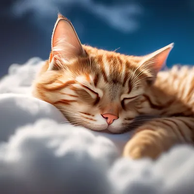 Котик спит на облаке. , эстетично, …» — создано в Шедевруме