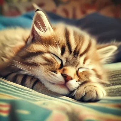 Маленькая пушистая котик спит, …» — создано в Шедевруме