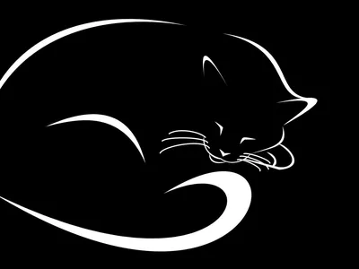 Спит Кот Белый - Бесплатное фото на Pixabay - Pixabay