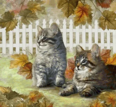 cat #cats #красота #мило #милашка #пуська #котик #котенок #заколочки  #чупачупс #сладкий #подарок #presentes #animals #жив… | Cute baby cats,  Baby cats, Pretty cats