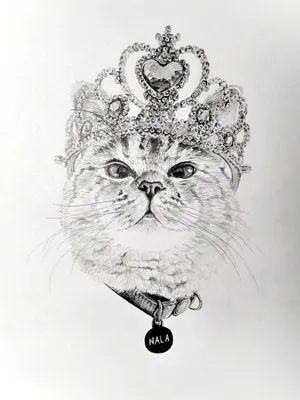 Рисунки котов, картинки с кошками, графика и фото котят: кото-арт - art  cats-8