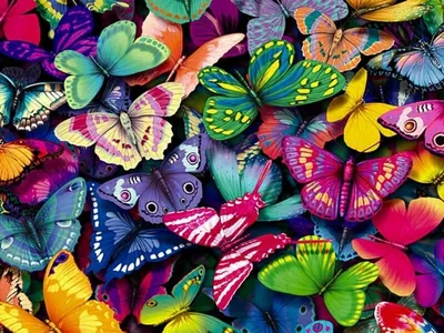 [71+] Красивые бабочки картинки нарисованные обои