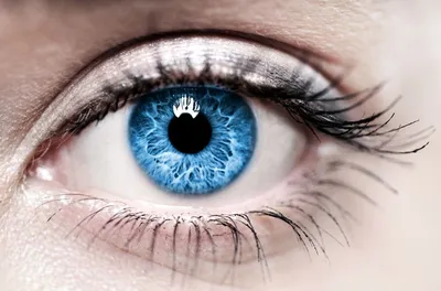 самые красивые глаза в мире - Поиск в Google | Augen farbe, Menschen mit  blauen augen, Tolle augen