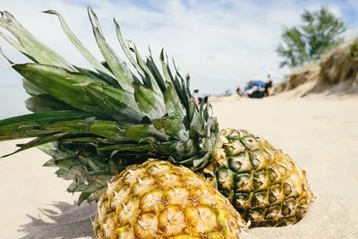 Как красиво нарезать ананас. how beautifully cut pineapple. wie schön  geschnittene Ananas. - YouTube