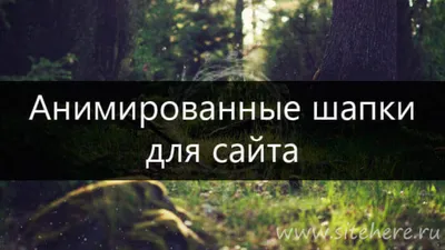 Анимированные шапки для сайта — делаем крутые шапки на сайте