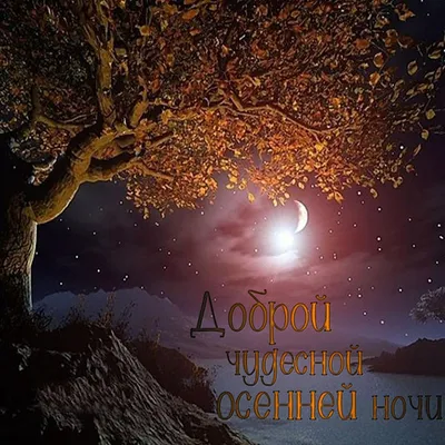 Красивые картинки Спокойной ночи 🌠🌙 (217 шт.)