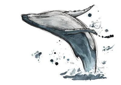 [73+] Красивые картинки китов обои
