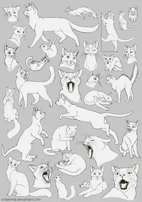 Идеи для срисовки маленькие коты воители (90 фото) » идеи рисунков для  срисовки и картинки в стиле арт - АРТ.КАРТИНКОФ.КЛАБ