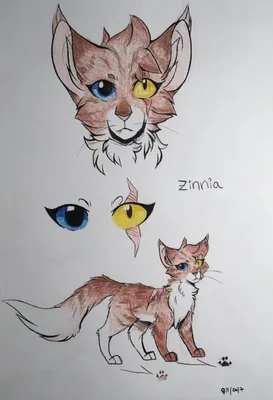 Рисунки котов воителей карандашом для срисовки - 74 фото