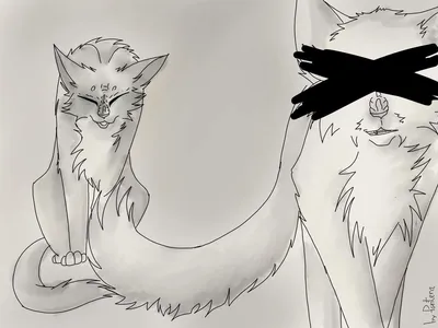 Раскраска креативные коты воители 😻 распечатать бесплатно