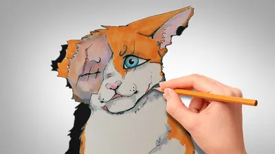 Рисунки Коты-воители для срисовки (30 картинок)