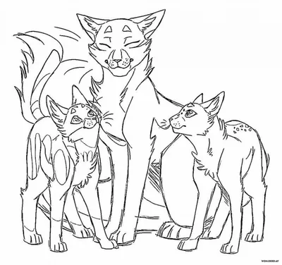 Расраски Коты воители распечатать бесплатно | Кошачьи наброски, Бесплатные  раскраски, Кот-воитель