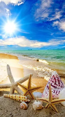 Обои экзотическое море, океан, пляж, закат, море на телефон Android,  1080x1920 картинки и фото бесплатно