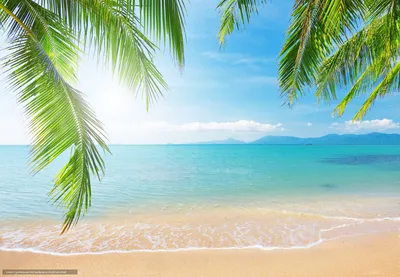 Молодая красивая девушка сидит на пляже возле моря и фотографирует ее по  телефону Летний сезон Море и пляж Стоковое Фото - изображение насчитывающей  напольно, красивейшее: 162911840