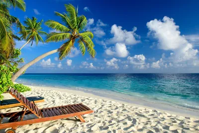 [82+] Красивые картинки море пляж пальмы обои