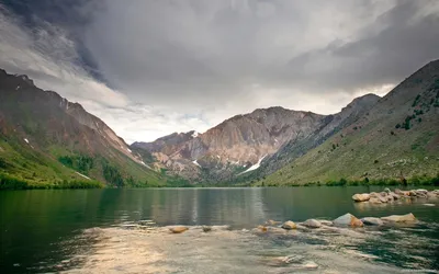 Красивые ландыши растут в воде …» — создано в Шедевруме