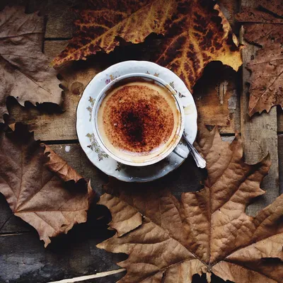 Обои осень, листья, фон, дерево, кофе, colorful, чашка, wood, background,  autumn, leaves, cup, coffee, осенние картинки … | Осенние картинки, Обои,  Блестящие шарики