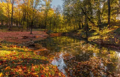 Осень :: Природа (красивые фото природы: моря, озера, леса) / смешные  картинки и другие приколы: комиксы, гиф анимация, видео, лучший  интеллектуальный юмор.