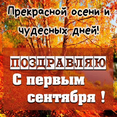 С первым днем осени 2023: поздравления в прозе и стихах, картинки на  украинском — Украина