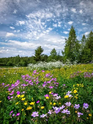 просто красивые картинки / море :: фото :: лето :: картинки :: Природа ( красивые фото природы: моря, озера, леса) :: девушка / смешные картинки и  другие приколы: комиксы, гиф анимация, видео, лучший интеллектуальный юмор.