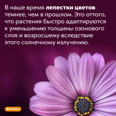 Красивая Energysaving лампочка на синем фоне. Экономика. Экология Стоковое  Изображение - изображение насчитывающей эко, конструкция: 181873217