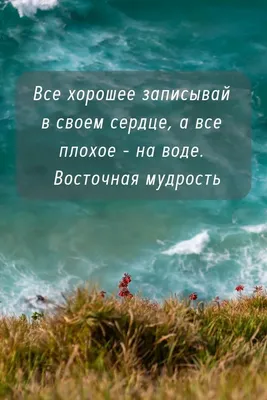 Цитаты про дружбу: мудрые высказывания и фразы из книг