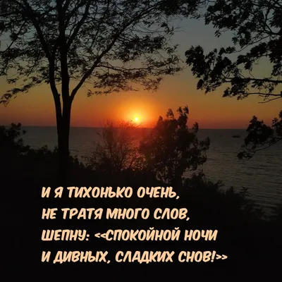 Смешные и прикольные картинки спокойной ночи: открытки, пожелания и угарные  стикеры