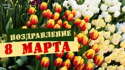 СИНИЦА ЛЁЛЯ Мини открытки на 8 марта с пожеланиями