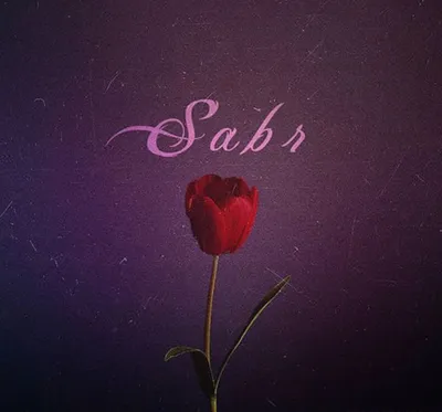 Sabr