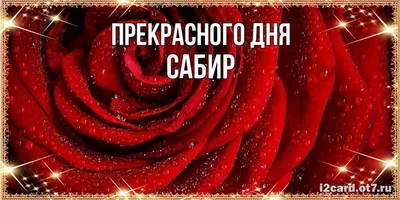 картинки саб-зиро / смешные картинки и другие приколы: комиксы, гиф  анимация, видео, лучший интеллектуальный юмор.