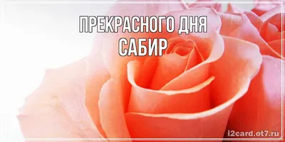 Открытка с именем Сабир Я тебя люблю сердце. Открытки на каждый день с  именами и пожеланиями.