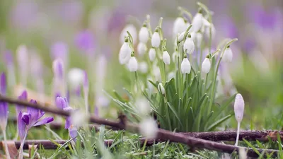 Картинки хорошего дня природа весна (64 фото) » Картинки и статусы про  окружающий мир вокруг