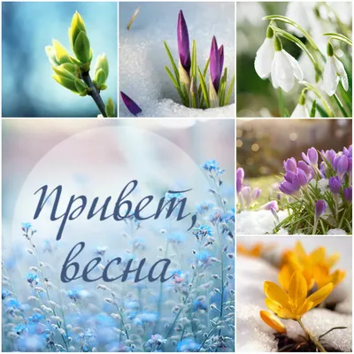 Umma Osh - Скоро весна!💐 Желаем вам весеннего настроения и... | Facebook