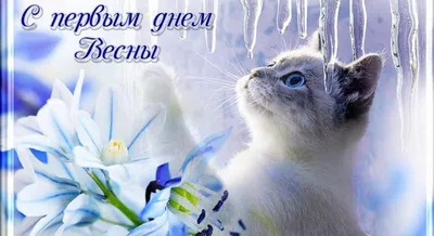 Доброе утро скоро Весна (Много фото!) - treepics.ru
