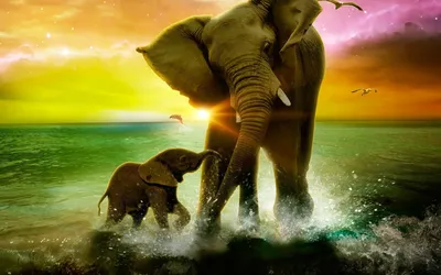 Слоны красивые картинки (50 фото) - 50 фото