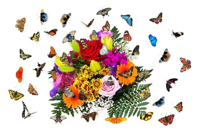 Красота лета - красивые цвета цветов и бабочек - онлайн-пазл