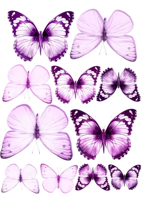 Розовый фон с бабочками (64 фото)