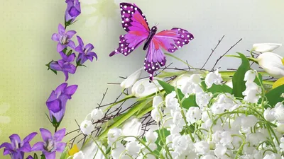 Картинки бабочки и цветы красивые (69 фото) » Картинки и статусы про  окружающий мир вокруг