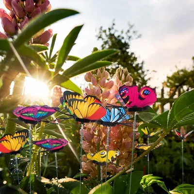 Красивые картинки с бабочками и цветами (37 фото)