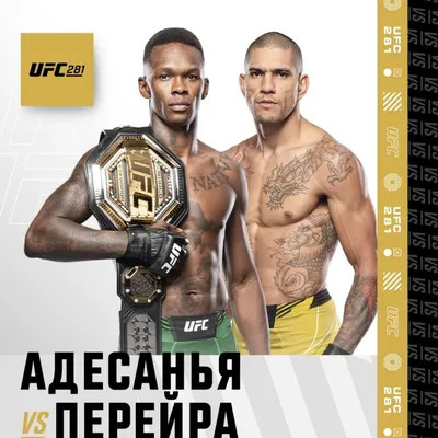 Красотки в UFC — топ-10 девушек с характерами настоящих бойцов. Фото