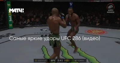 Сколько бойцов в UFC в настоящее время – узнай на tvcom