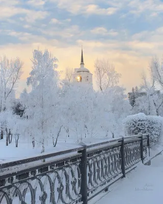 Красивые фотографии зимнего Новосибирска, Новосибирск зимой 17 ноября 2021  г. - 17 ноября 2021 - НГС.ру