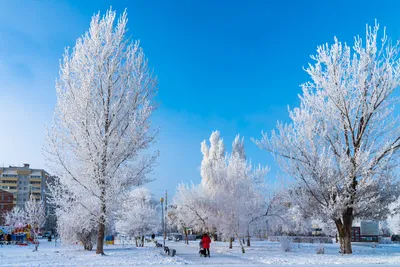 Зима в городе (63 фото)