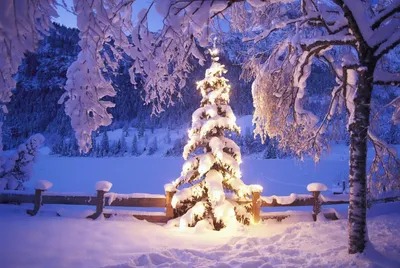 Красивые зимние новогодние обои - 66 фото