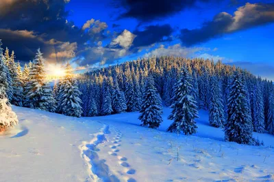 Красивые зимние новогодние пейзажи (67 фото) - 67 фото