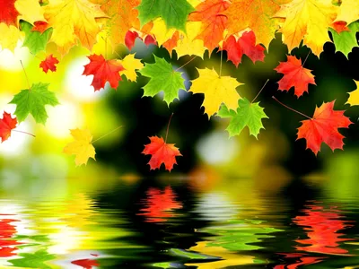 Осенние листья заставка - 61 фото