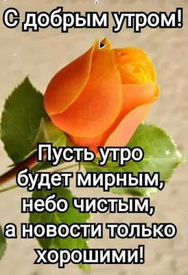 Кружка Подарок Ok \"Утро добрым не бывает\", 330 мл, 1 шт - купить по  доступным ценам в интернет-магазине OZON (683936217)