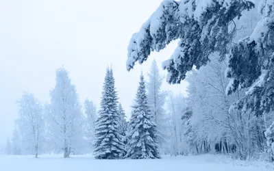 Картинки природа, вечер, зимний курорт, новый год, снеговик, зима, снег,  елки, красиво - обои 2560x1440, картинка №160235